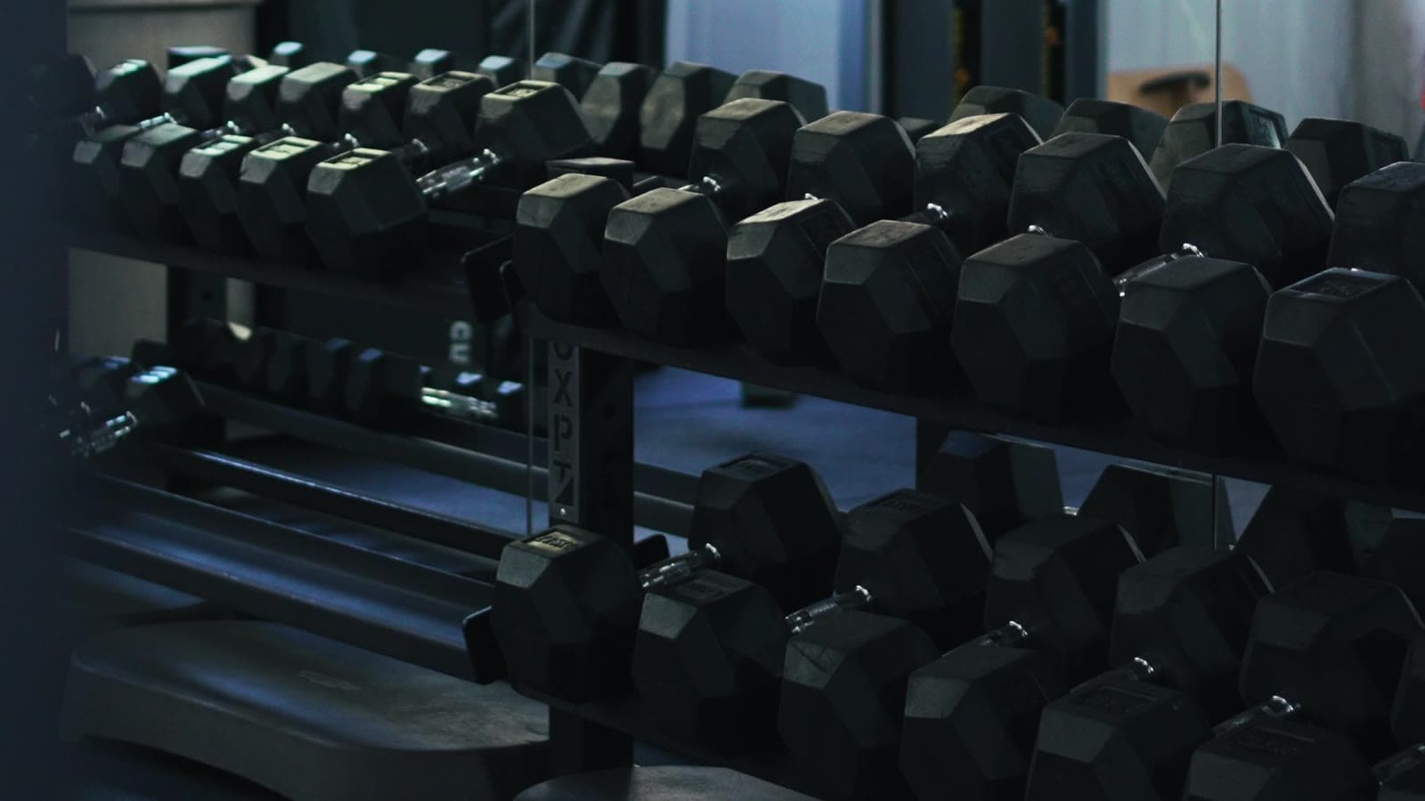 Rack de halteres da sala de musculação do Connect Club